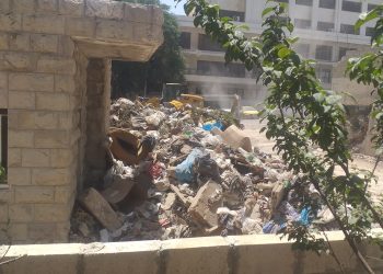 مواطن يصرخ.. طفح الكيل يا معالي أمين عمّان ويا وزير البيئة