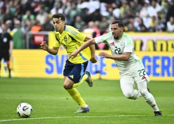 الاتحاد السعودي يريد التعاقد مع الجزائري بن ناصر