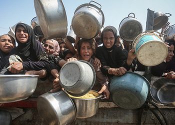 مجازر في حي الزيتون و المواصي بخانيونس وتجويع يهدد مئات الآلاف