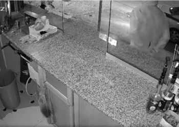 كاميرات المراقبة ترصد سرقة محل قهوة في سحاب