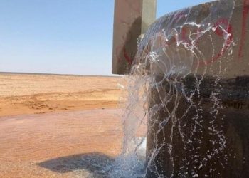 نائب .. مياه الديسي تذهب لـ 3 مزارع خاصة ؟