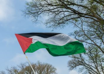 ردود فعل دولية عقب اعتراف بريطانيا وكندا وأستراليا بدولة فلسطين