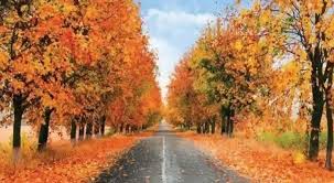 طقس الاردن .. أجواء حارة وخريفية خلال ايام