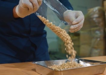 السعودية تحبط تهريب مخدرات قادمة من الأردن