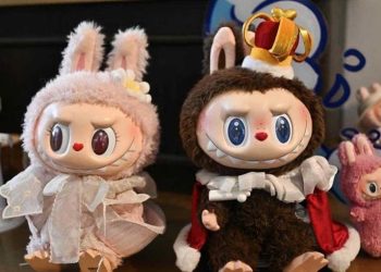 لص يسرق 43 دمية “لابوبو” نادرة بقيمة بقيمة 6 آلاف دولار