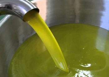 140 دينارا سعر تنكة زيت الزيتون في الاردن