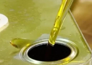 تنكة زيت الزيتون في الأردن تصل إلى 120 ديناراً