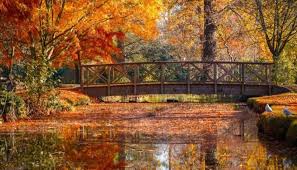 طقس الاردن.. أسبوع خريفي مستقر ودفء نهاري وبرودة ليلية