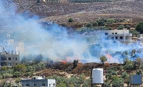 إصابة عدد من قاطفي الزيتون في اعتداءات إسرائيلية بالضفة