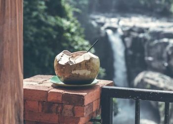 للجسم والبشرة.. 7 فوائد لشرب ماء جوز الهند