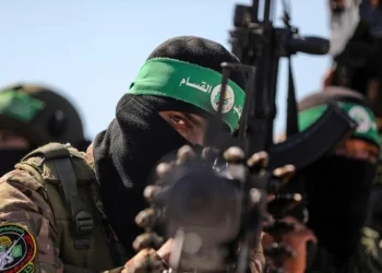 وول ستريت جورنال: خطة أمريكية لإقامة منطقة خضراء خالية من حماس في غزة