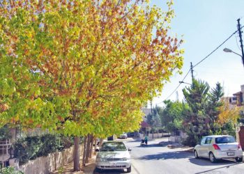 أجواء غير مستقرة يوم الخميس في كافة أنحاء الاردن