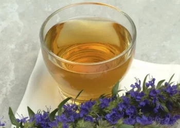 10 مشروبات ليلية تساعد على إنقاص الوزن