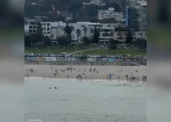 جرحى بإطلاق نار كثيف على شاطئ أسترالي شهير