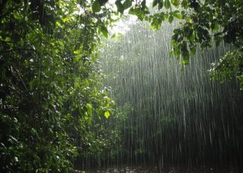 الأردن وبلاد الشام على موعد مع موجة أمطار قوية نهاية الأسبوع الجاري