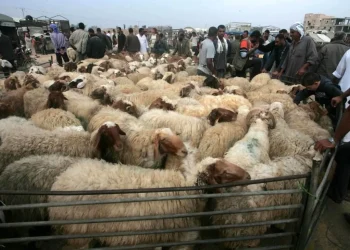 وفاة رجل داخل سوق الحلال وسط اختناق مروري