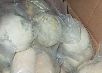 الغذاء والدواء تغلق مستودع جميد غير مرخص بعمّان