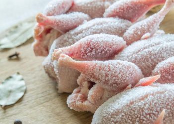 الحكومة..تقرر ايقاف استيراد الدواجن المجمدة