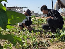 المزارعون يعودون إلى أراضيهم شرق خانيونس رغم المخاطر